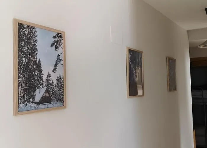 Miramar Apartamento A Pie De Pistas Zona Baja